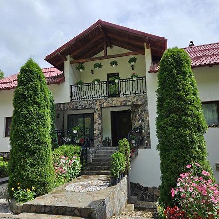 Villa Casa Alba à Borşa Extérieur photo