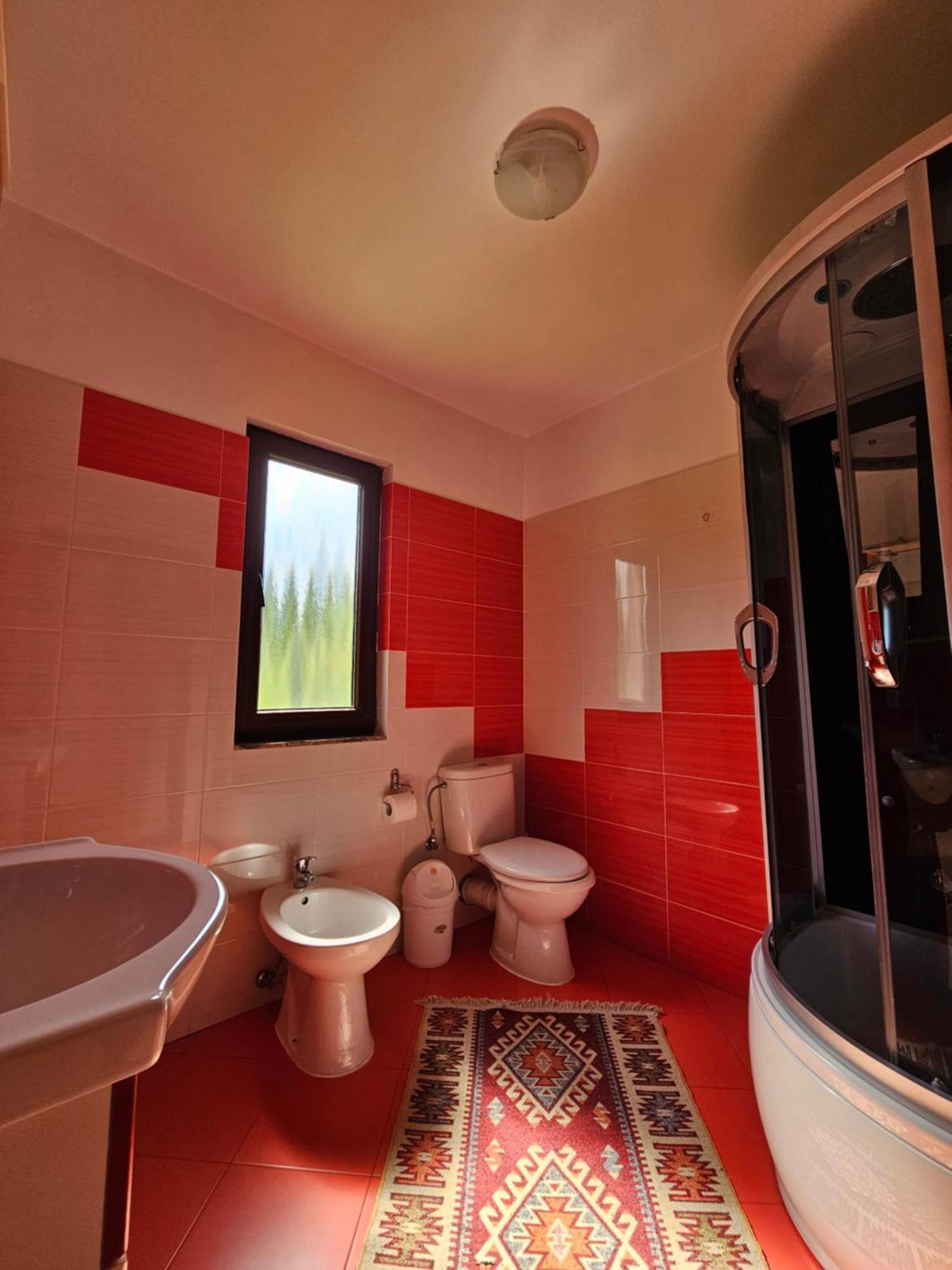 Villa Casa Alba à Borşa Extérieur photo