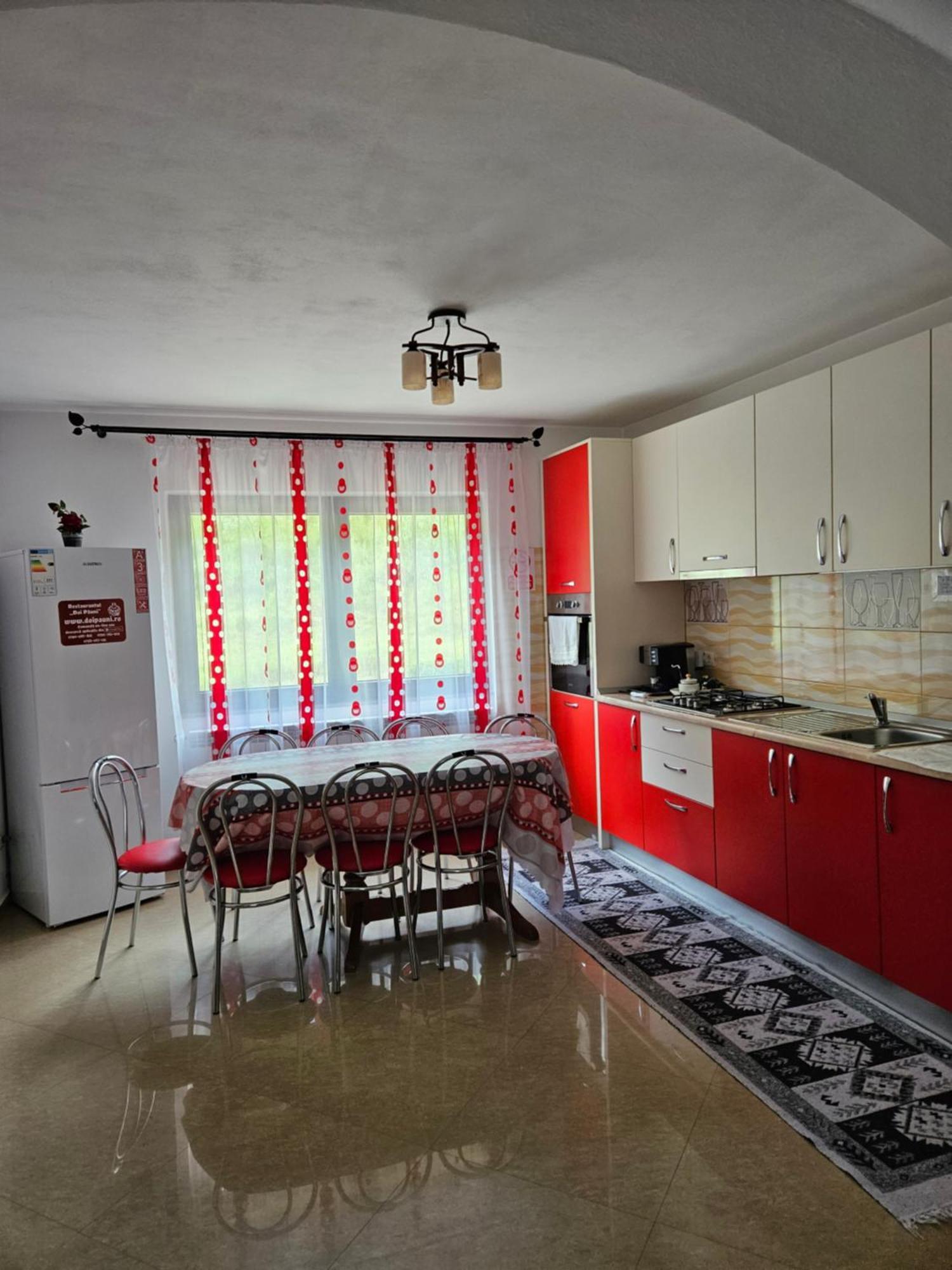 Villa Casa Alba à Borşa Extérieur photo