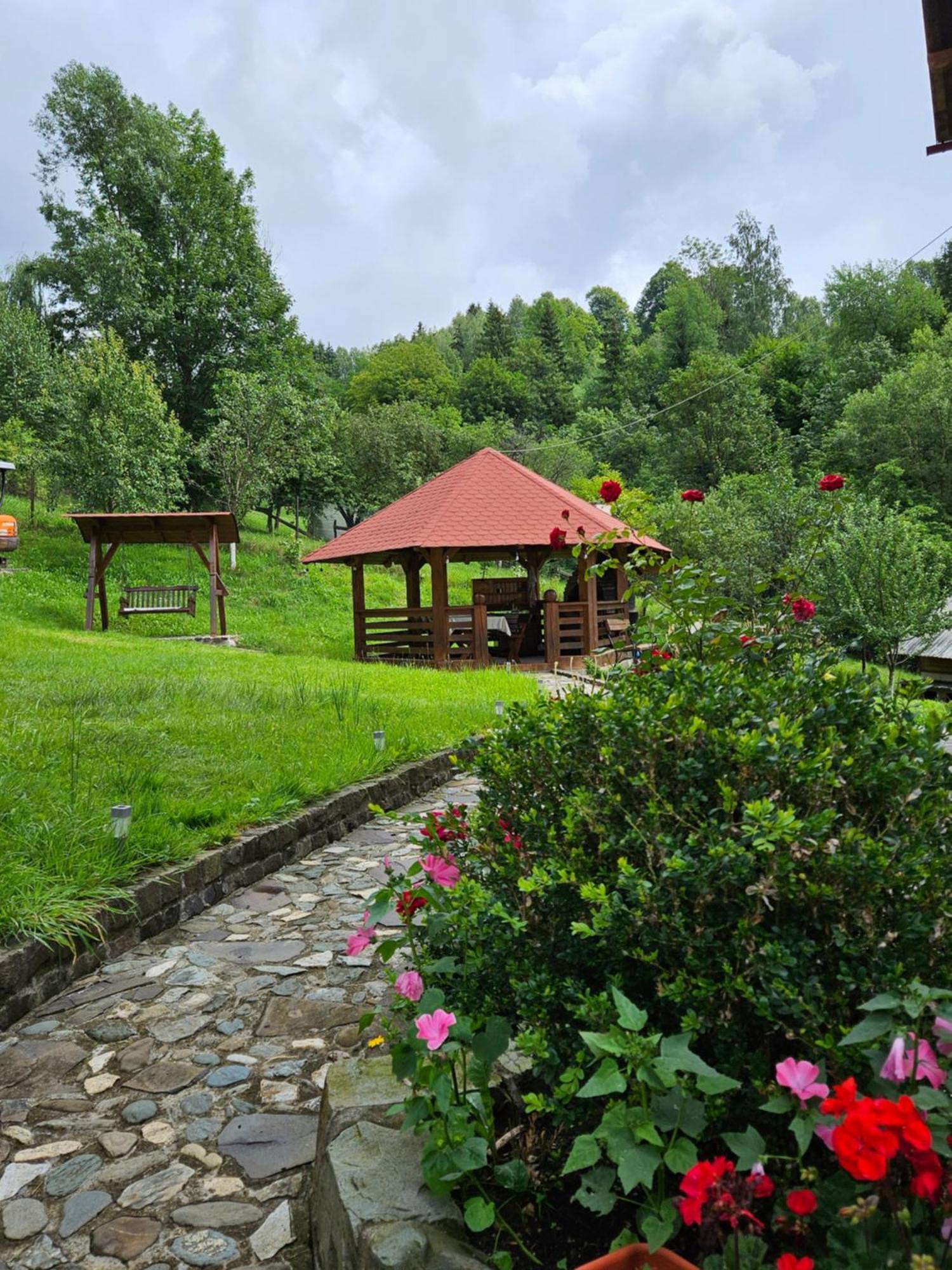 Villa Casa Alba à Borşa Extérieur photo